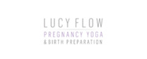 Logo LucyFlow.com