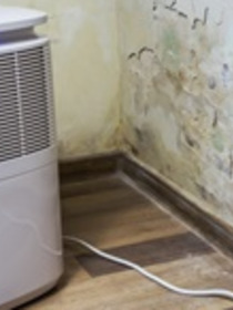What you need to know about a small dehumidifier