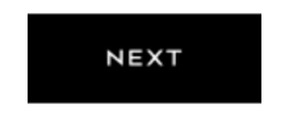 Logo Next